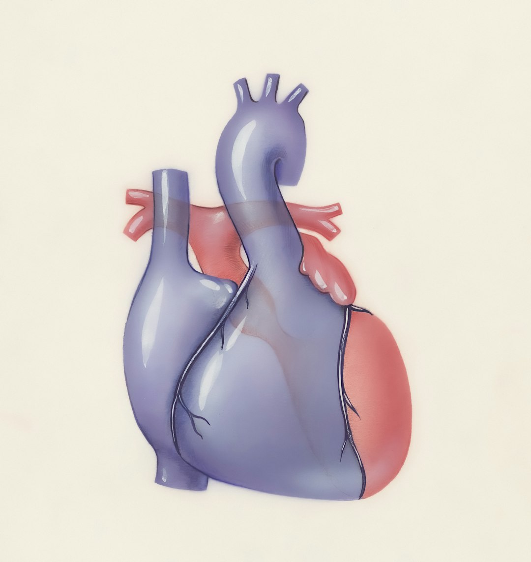 Heart Health Illustration
