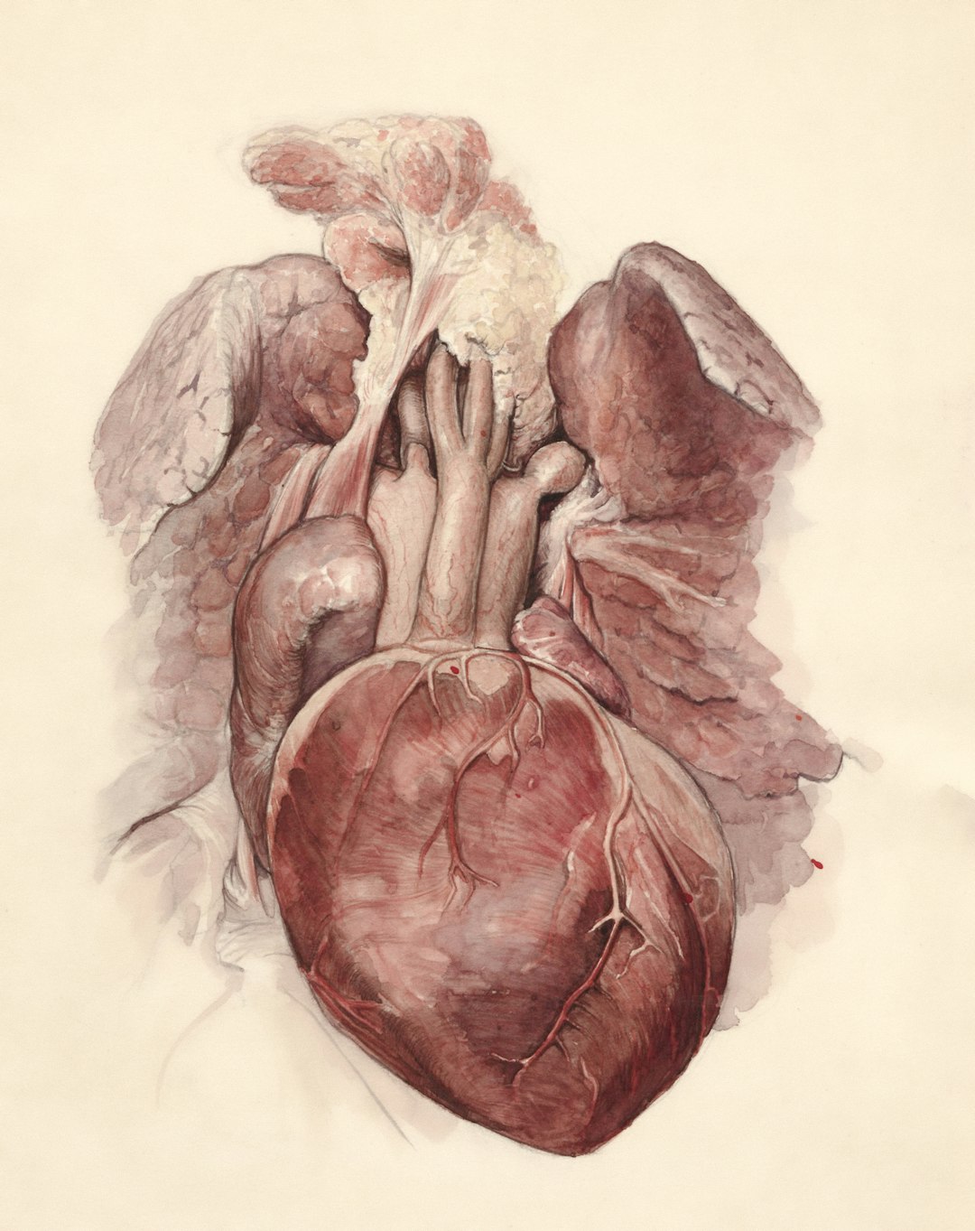 Exercise for Circulation